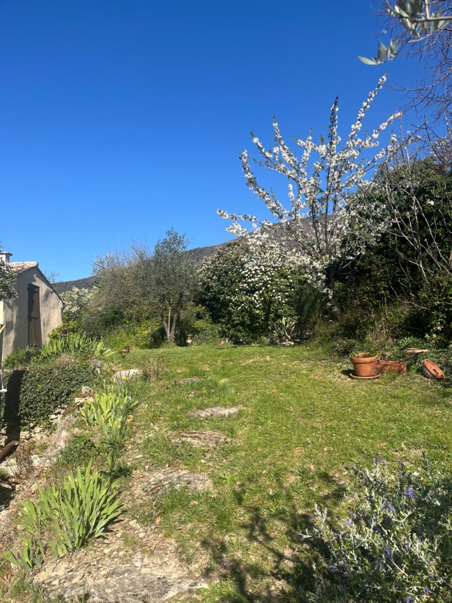 Cabanon Entoure De Montagnes Et D'Oliviers Villa Nyons Buitenkant foto
