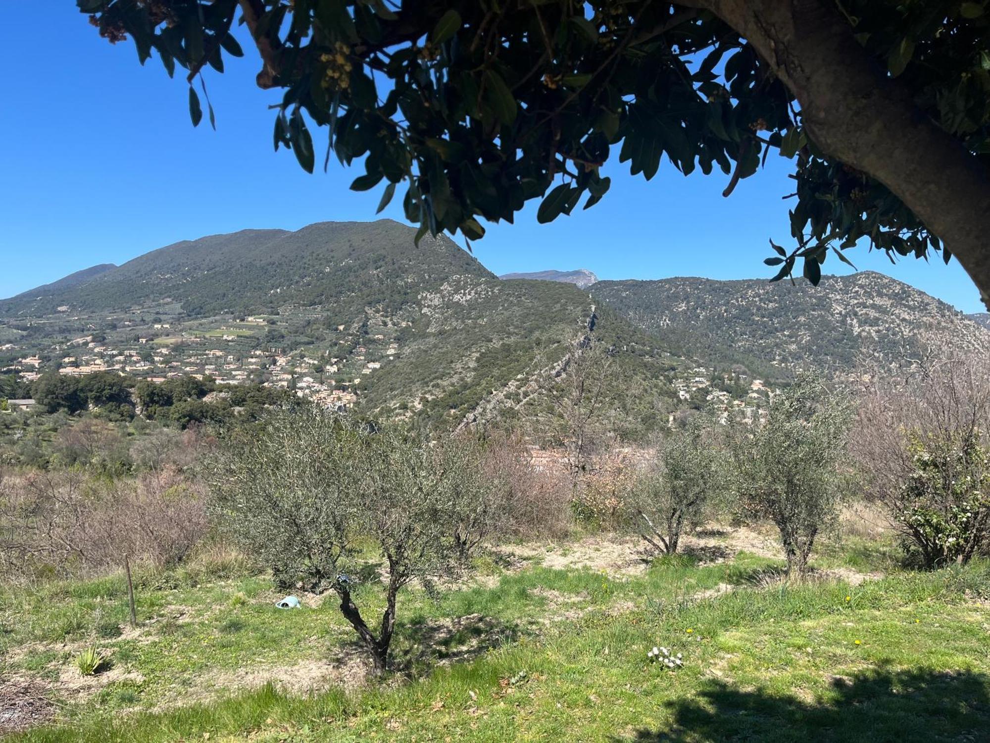 Cabanon Entoure De Montagnes Et D'Oliviers Villa Nyons Buitenkant foto